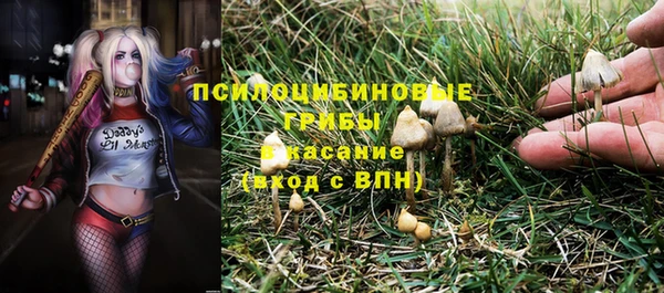 стаф Абаза