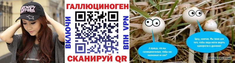 наркотики Лодейное Поле Галлюциногенные грибы прущие грибы